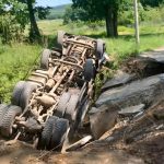 FOTO: Imaginea a fost postată pe grupul de FB Codrii Iașilor