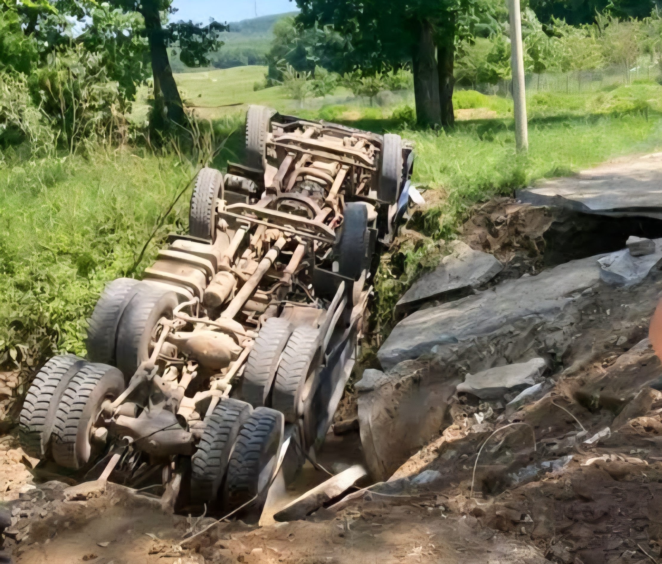 FOTO: Imaginea a fost postată pe grupul de FB Codrii Iașilor
